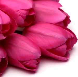 Meet your Posher, Carla